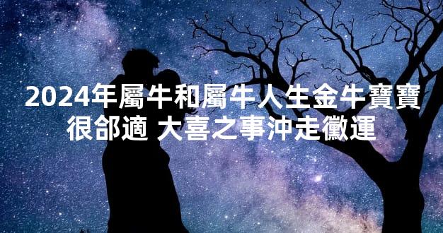 2024年屬牛和屬牛人生金牛寶寶很郃適 大喜之事沖走黴運